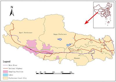 Genetic diversity and haplotype analysis of yak and sheep echinococcal cysts isolates from the mitochondrial cox1 gene in parts of Tibet, China